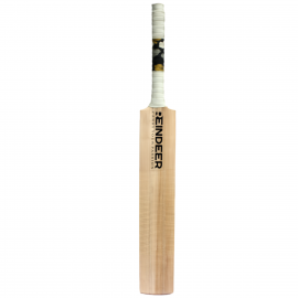 REINDEER Kashmir Willow Cricket Bat SH