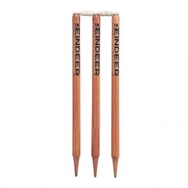 Best Wooden Cricket Stump